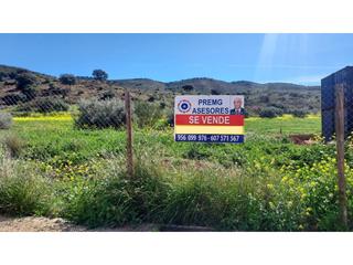 Residential Plot in Zona de la Vega