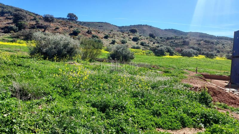 Foto a3c4dbf3-4f70-4e19-b6fe-28f8e2fb5f39. Residential plot in Zona de la Vega Antequera