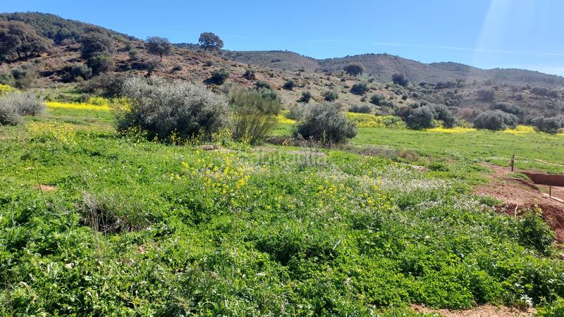 Foto c41f84e4-4465-4963-bbe7-5293ab390380. Terreno residenziale in Zona de la Vega Antequera