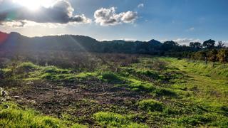 Finca rústica a San Enrique-Guadiaro-Pueblo Nuevo