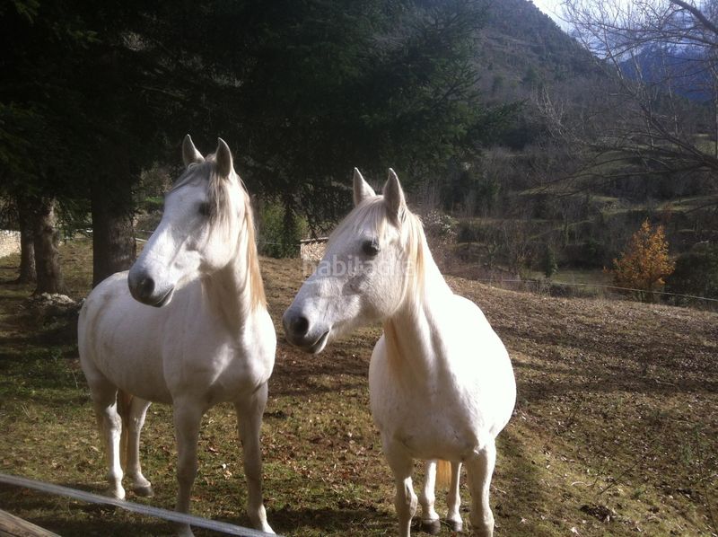 Foto 6af330d0-4908-48bc-b271-07617150129b. Masia amb calefacció aparcament a Arsèguel