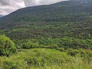 Terreny residencial  N/a. Fnca rustica situada en aubert