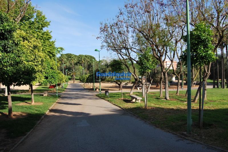 Foto ce589db4-609b-43fa-9732-48bab6184da1. Location appartement dans Centro Montequinto