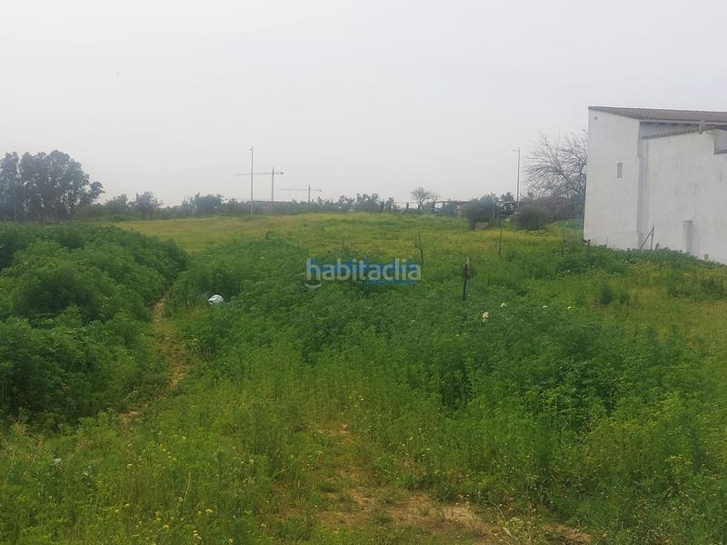 Foto c64882a6-456c-4fe3-a76a-d0f48e72ed2a. Terreno residenziale in Entrenúcleos Dos Hermanas
