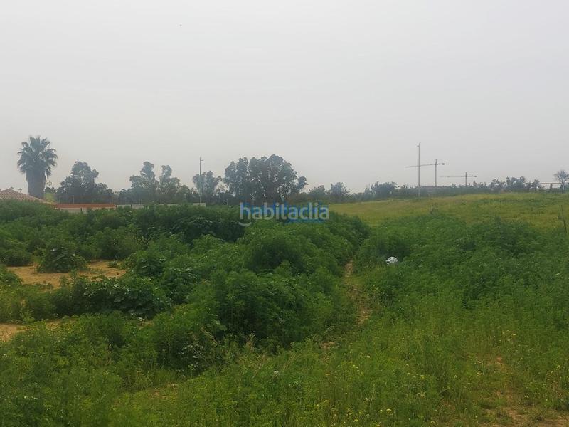 Foto deb728fd-ca2d-49ed-9313-aa53dd7e70a5. Terreno residenziale in Entrenúcleos Dos Hermanas