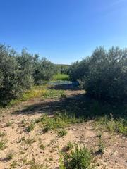 Propriété à La Hacienda - Nueva Andalucía. Parcela en san federico echaguy