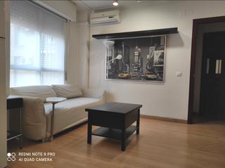 Alquiler Piso en La Buhaira. Apartamento zona nervion 2 dormitorios amueblado