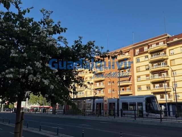 Foto e73d91a1-3611-494d-bff3-f76968873a07. Pis a La Buhaira Sevilla
