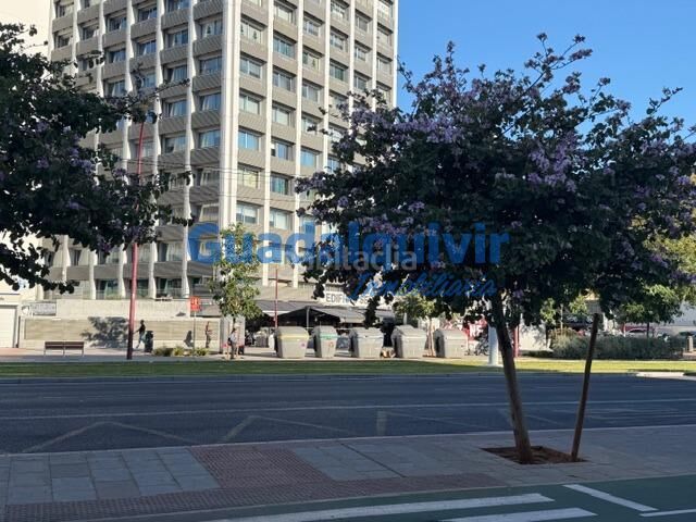 Foto f7532248-2dc8-4894-8bc8-8a2d7c0f7cee. Pis a La Buhaira Sevilla