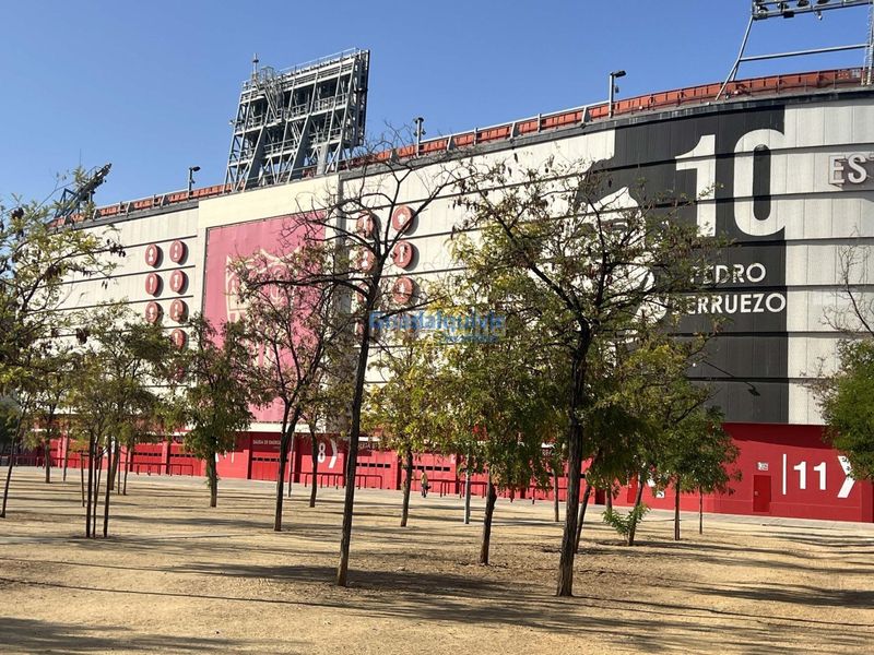 Foto 3be4a23d-b61a-4441-b04c-1f7844df75bd. Pis a La Buhaira Sevilla