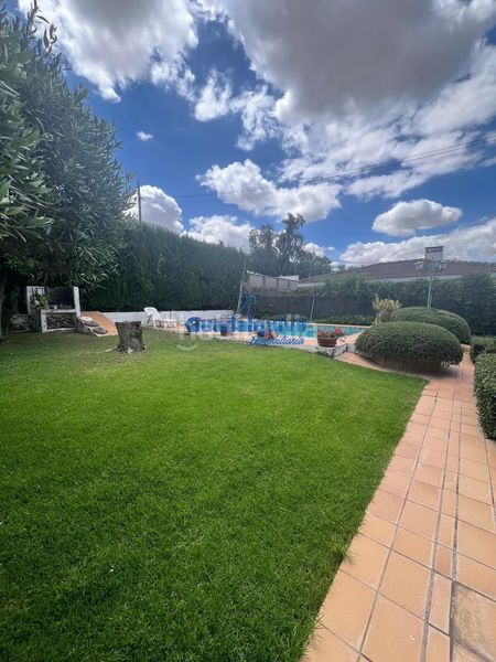 Foto b7479a8e-11dd-4afe-8821-ec260ed5230b. Xalet amb piscina a La Motilla - Fuente del Rey Dos Hermanas