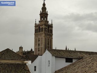 Alquiler Piso en Alfalfa - Santa Cruz. Piso dos dormitorios con impresionantes vistas a la giralda.