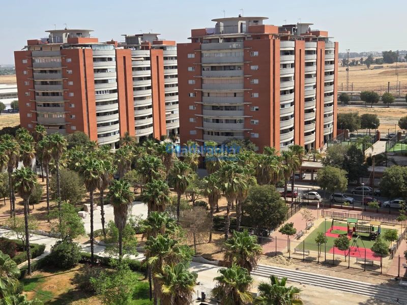 Foto e9c747a9-95b6-4ac0-bbe2-a828dcaaa37a. Pis amb aparcament piscina a Bellavista Sevilla