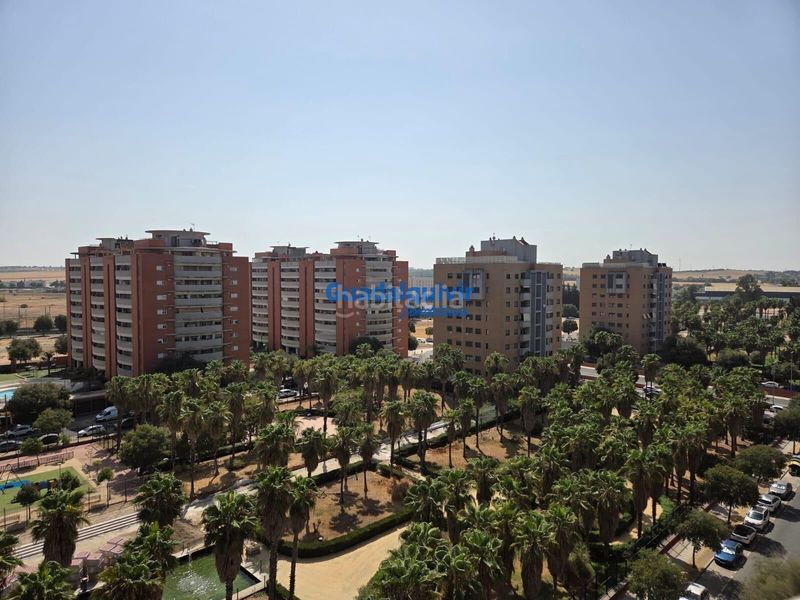 Foto 8a972376-11f5-4d47-9e69-4c57337a15d8. Pis amb calefacció aparcament piscina a Bellavista Sevilla