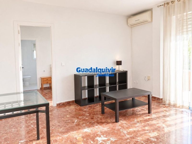 Foto 104a7b64-c90b-489b-9132-2c7c1bbfab65. Pis a La Buhaira Sevilla