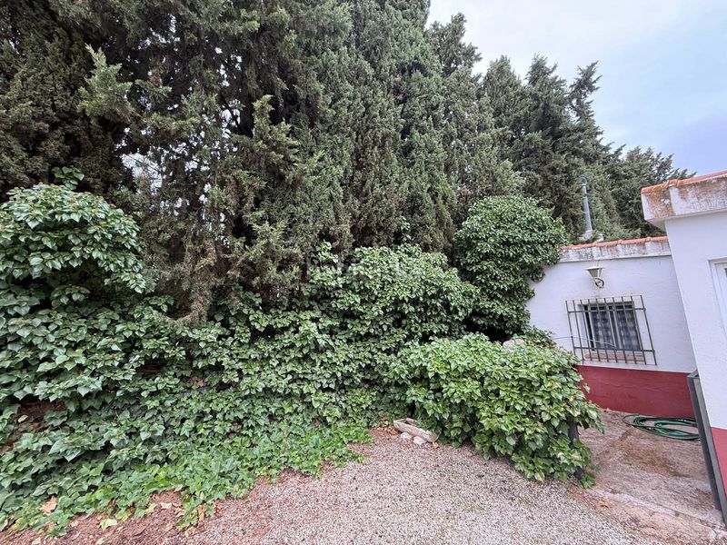 Foto 14c46ddd-98d5-4ced-95a9-b5ba71abf545. Xalet amb aparcament piscina a La Poblachuela Ciudad Real