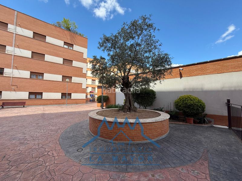 Foto d9aa7711-1e7f-4e2d-8f42-73e9fddf9b3c. Pis amb aparcament piscina a El Torreón - Los Ángeles - El Pilar Ciudad Real