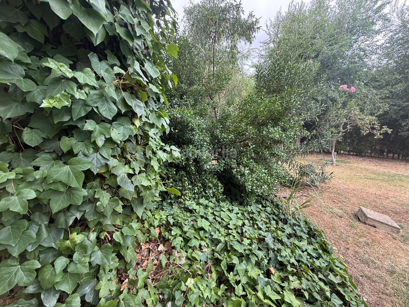 Foto 239c8ad2-8944-4bbb-8040-df751d162ce1. Chalet casa / chalet independiente en venta en Poblete