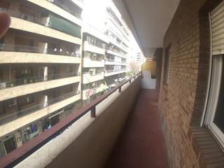 Pis  Calle ciruela