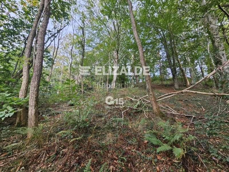 Foto 2f4c2a89-eab5-4e86-8b4b-cf595701f423. Rural plot in Oiartzun