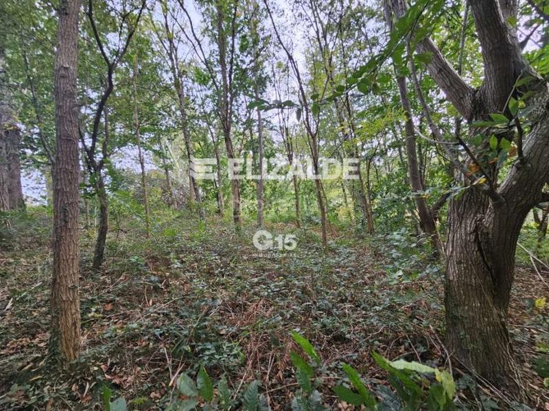 Foto 4db9d15b-7c2f-4885-978e-22e95cb3ee78. Rural plot in Oiartzun