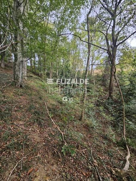 Foto 7f38848f-9630-4b26-84b7-e0816e5b986c. Rural plot in Oiartzun