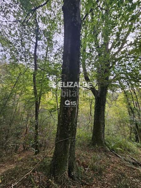 Foto 9565e2ab-7bb9-4278-8b70-99fe2cd8d12b. Rural plot in Oiartzun