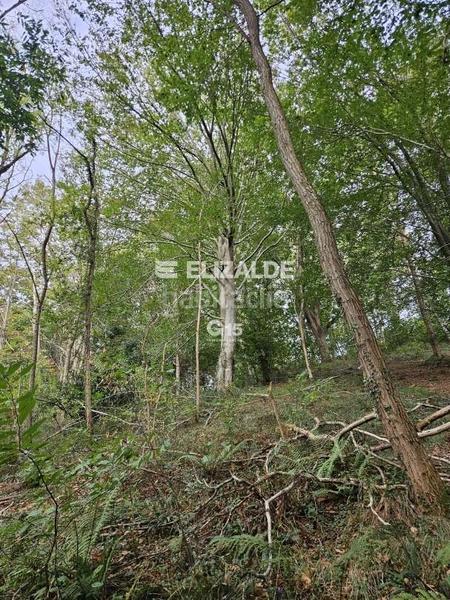 Foto d92c960f-1da0-490c-a9a9-3160ecf50beb. Rural plot in Oiartzun