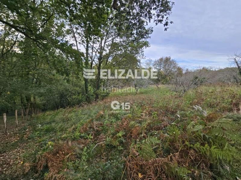 Foto e9792d8e-c3ab-43d7-93f3-f586fad010e6. Rural plot in Oiartzun