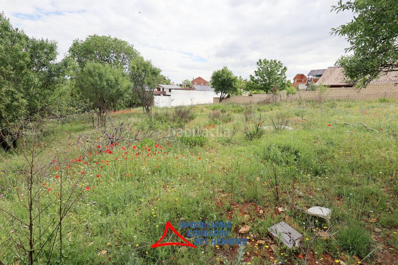 Foto 273a4017-03a5-4e98-a1cd-84b22d5d899e. Finca rústica a Mejorada del Campo
