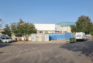 Fabrikhalle in Calle del guadiana 41