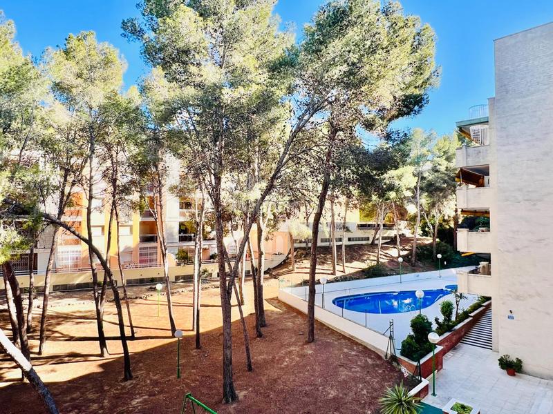 Foto 41c5e349-5171-4f13-86b0-b357813488c2. Apartament amb aparcament piscina a pla de maset - cap de Salou Salou