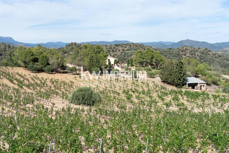 Foto 777519dc-06bd-424a-947e-2c92ab6c2b92. Masía finca histórica destinada a hotel con bodegas en priorat en Molar (El)