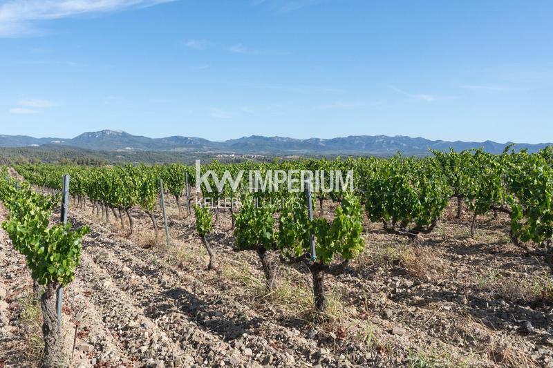 Foto b9caa700-722a-439b-af06-d52019410503. Masía finca histórica destinada a hotel con bodegas en priorat en Molar (El)