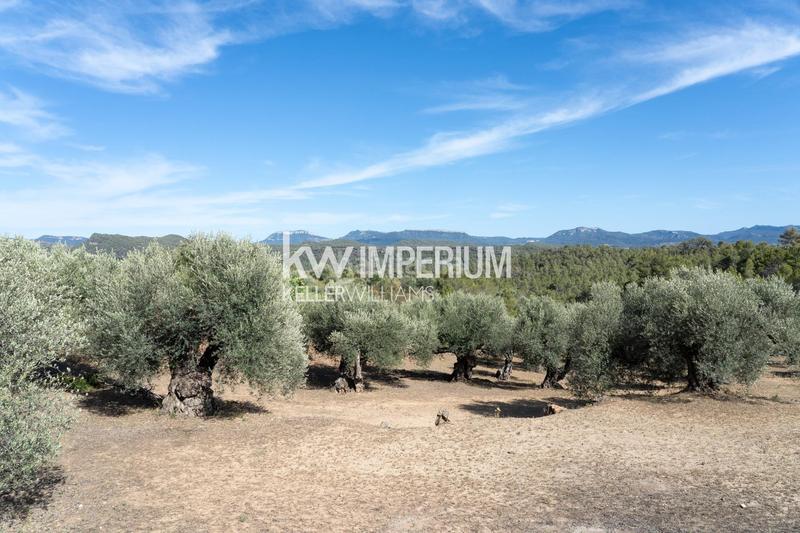 Foto c408e719-a060-444a-aba2-ff2682077e52. Masía finca histórica destinada a hotel con bodegas en priorat en Molar (El)