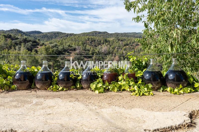 Foto d62c7c96-0541-4607-a2c4-3a41ffffd34c. Masía finca histórica destinada a hotel con bodegas en priorat en Molar (El)