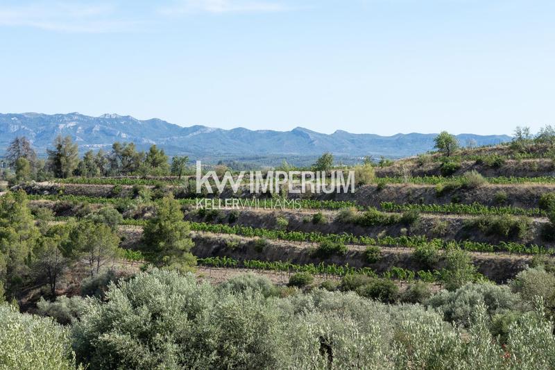 Foto ed49b2e5-1d14-4840-8292-fc7453daaf01. Masía finca histórica destinada a hotel con bodegas en priorat en Molar (El)