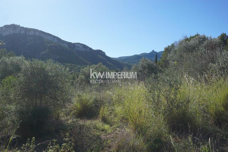 Foto 0cdeedaa-3a54-43a1-b66b-6bff34db0553. Bauernhof in Vilanova d´Escornalbou