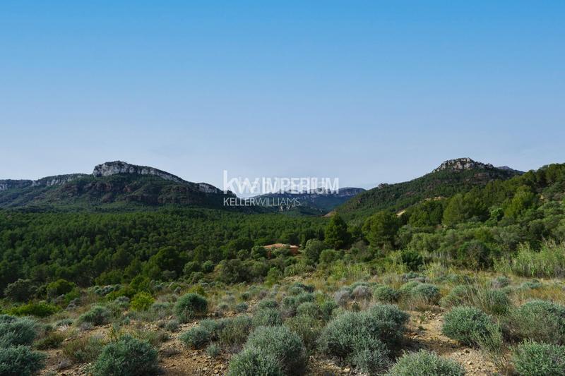 Foto 3278d8cf-1952-4e5d-8c6f-4f550af3098e. Bauernhof in Vilanova d´Escornalbou