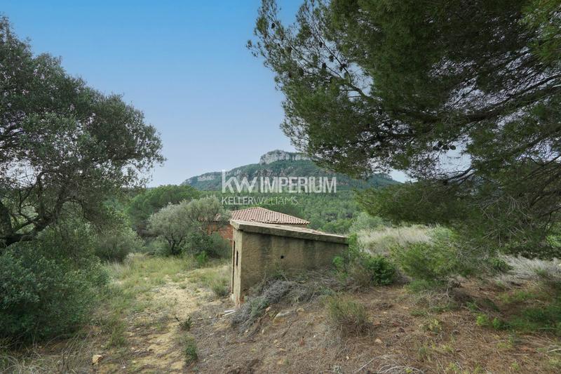 Foto 40fc9209-5cc4-4921-af56-5f5a74b8d69f. Bauernhof in Vilanova d´Escornalbou