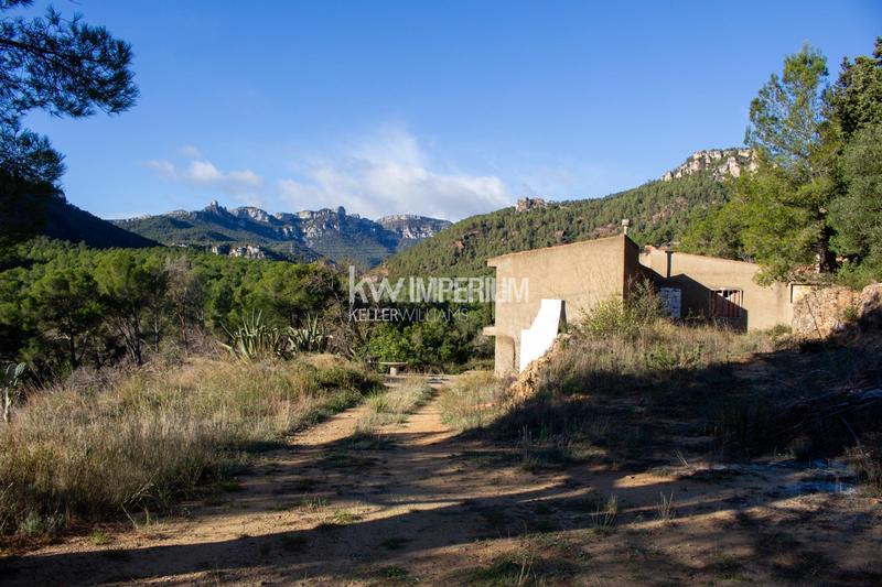 Foto 741f15a6-00b4-41ae-b7c6-6ae6b47dc85a. Bauernhof in Vilanova d´Escornalbou