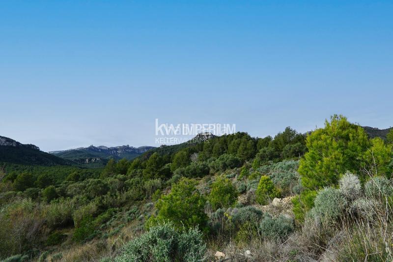 Foto 7c55e573-5994-4da4-b544-7909075d5eac. Bauernhof in Vilanova d´Escornalbou