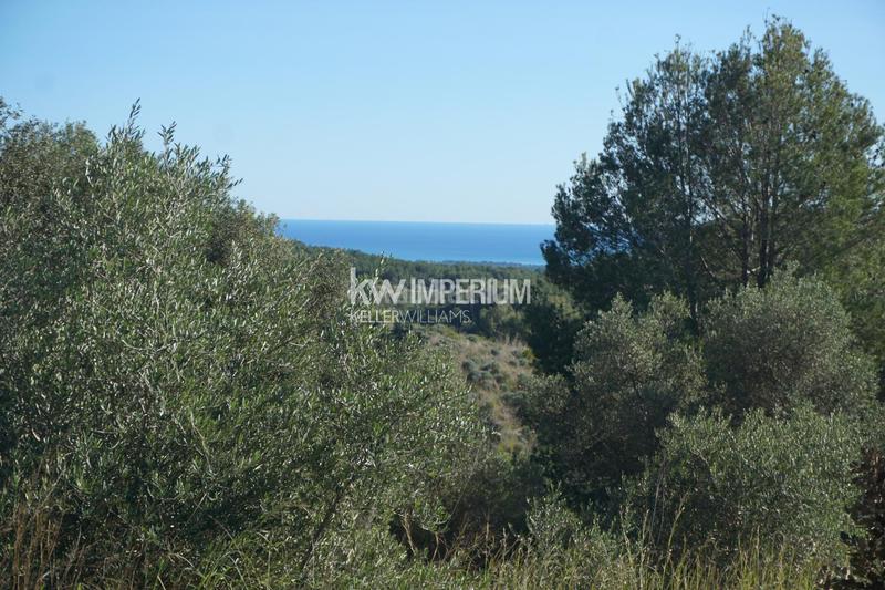 Foto 7e6e0692-af51-46cb-b30f-c48d4eb8cc2b. Bauernhof in Vilanova d´Escornalbou