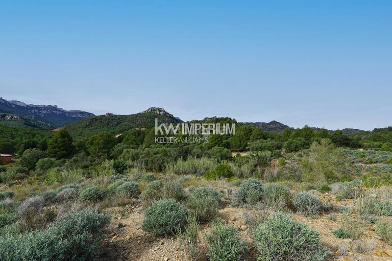 Foto ce29e1fe-5ed8-418e-b0a8-28803963e4c4. Bauernhof in Vilanova d´Escornalbou