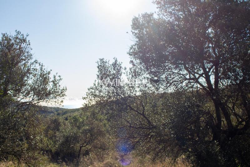 Foto dbb66fac-08f2-49ee-9bac-415222edd77d. Bauernhof in Vilanova d´Escornalbou