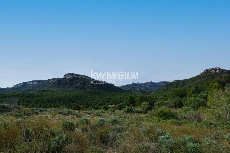 Foto fba20ddc-1cc9-4e49-a635-ce95e5568a0c. Bauernhof in Vilanova d´Escornalbou