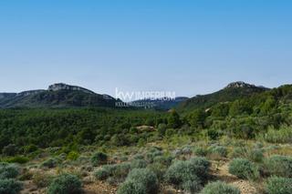 Mas dans Vilanova dEscornalbou. Finca rstica con vistas panormicas en un entorno tranquilo.