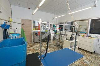 Traspàs Local Comercial a Llevant. Tienda de mascotas y peluquería canina en pleno funcionamiento e