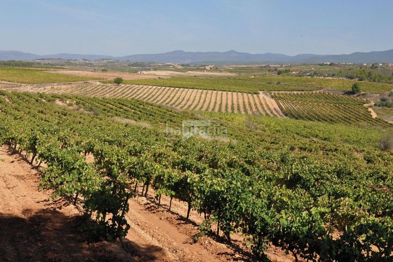 Foto b44be539-3316-4b3a-a4a3-b387de302753. Masia amb aparcament a Montferri