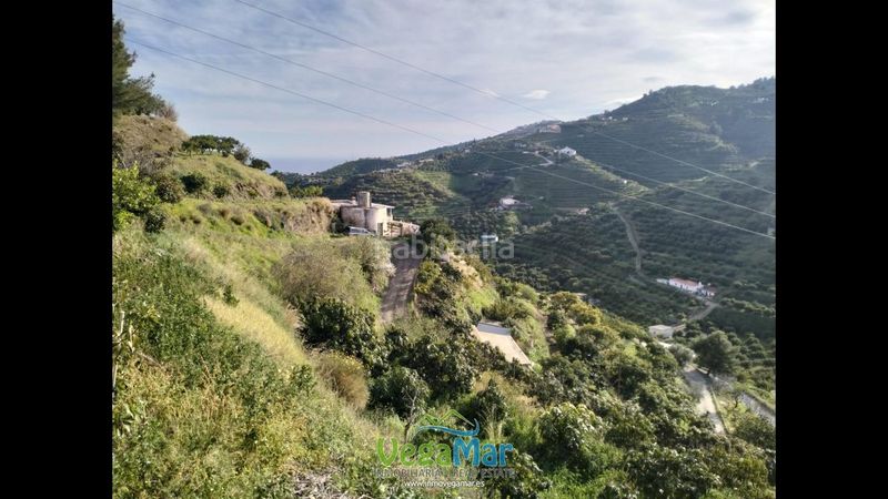 Foto f20c80ea-6399-4c3b-a56a-80a1b3c41aff. Bauernhof in Almuñecar centro Almuñécar